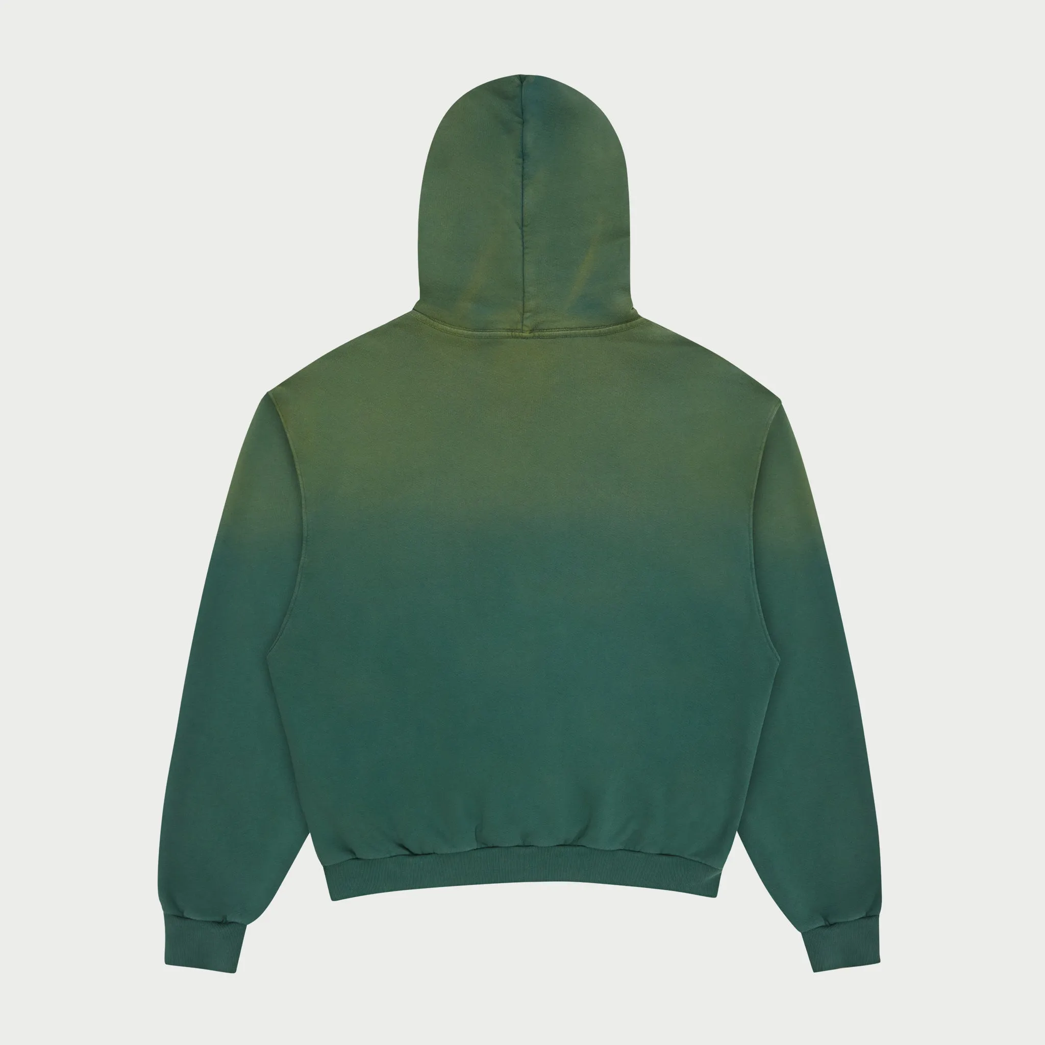 Championship Hoodie (Cactus)