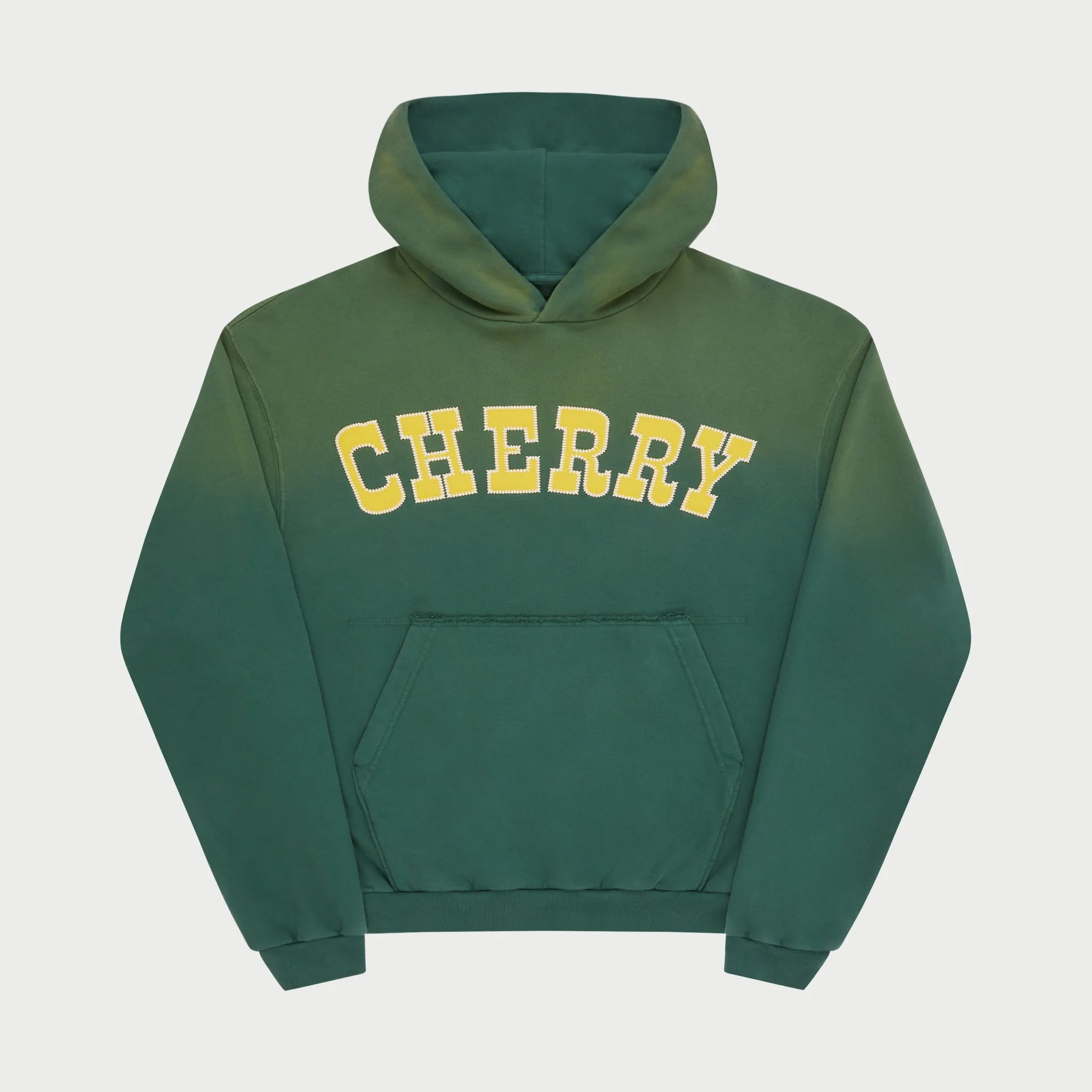 Championship Hoodie (Cactus)