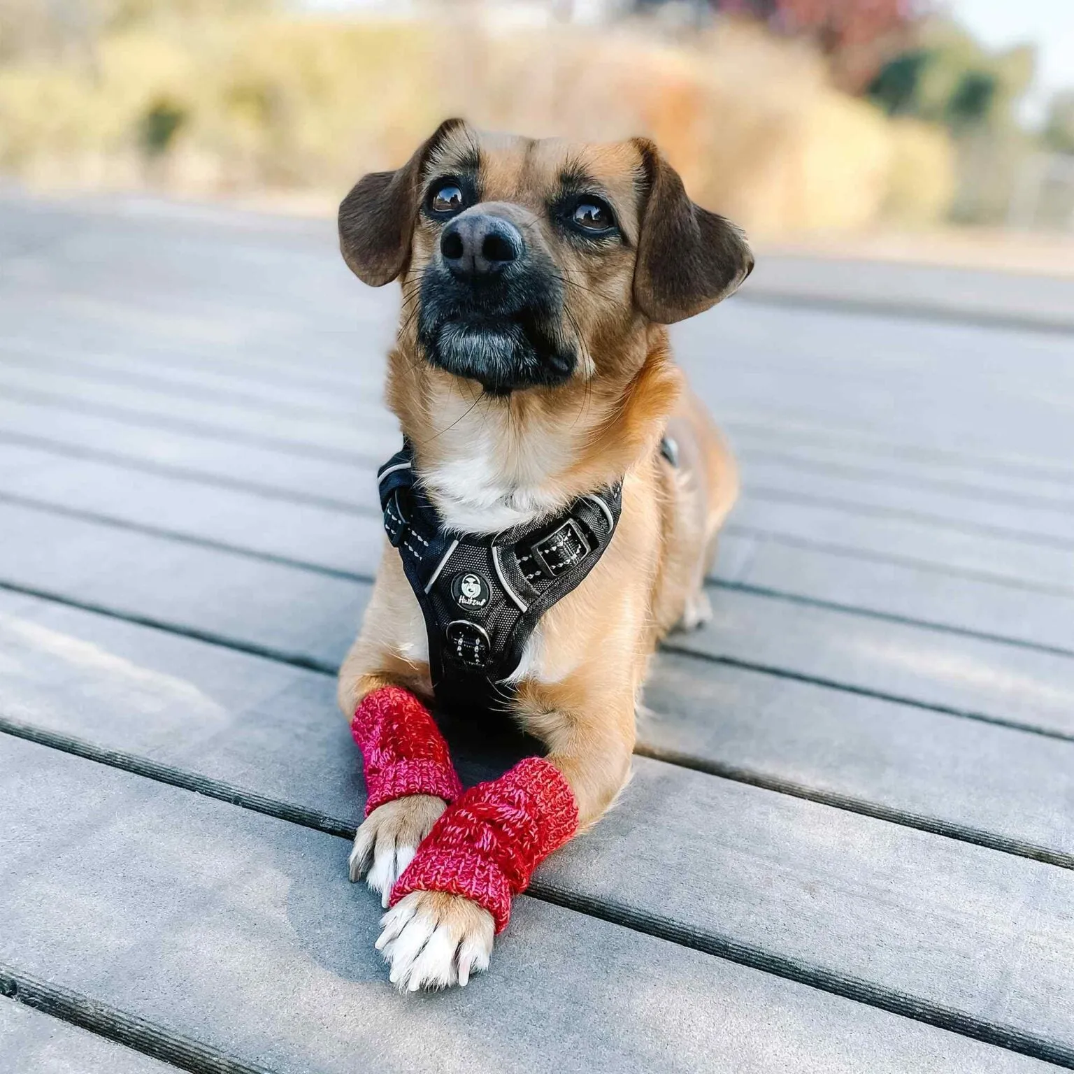 Huskimo Leg Warmers