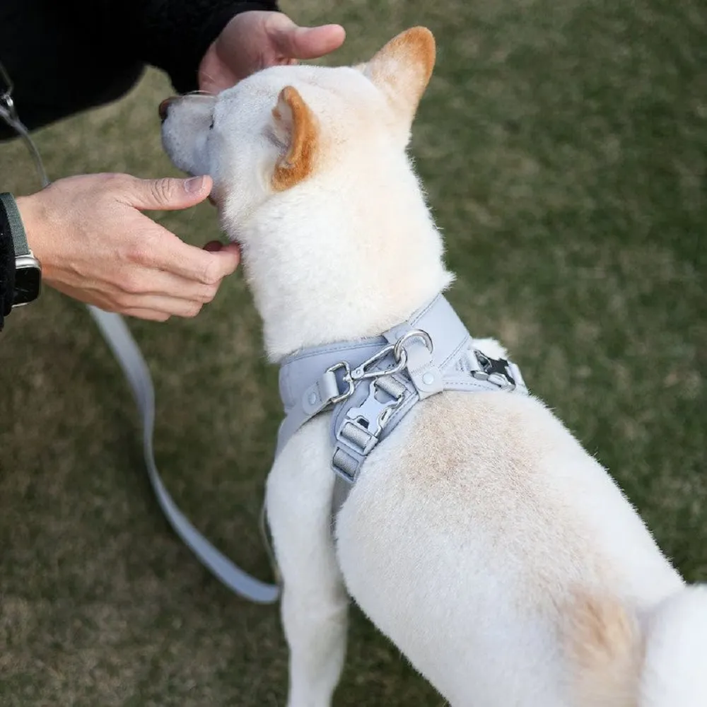 Pups & Bubs - Roam Harness