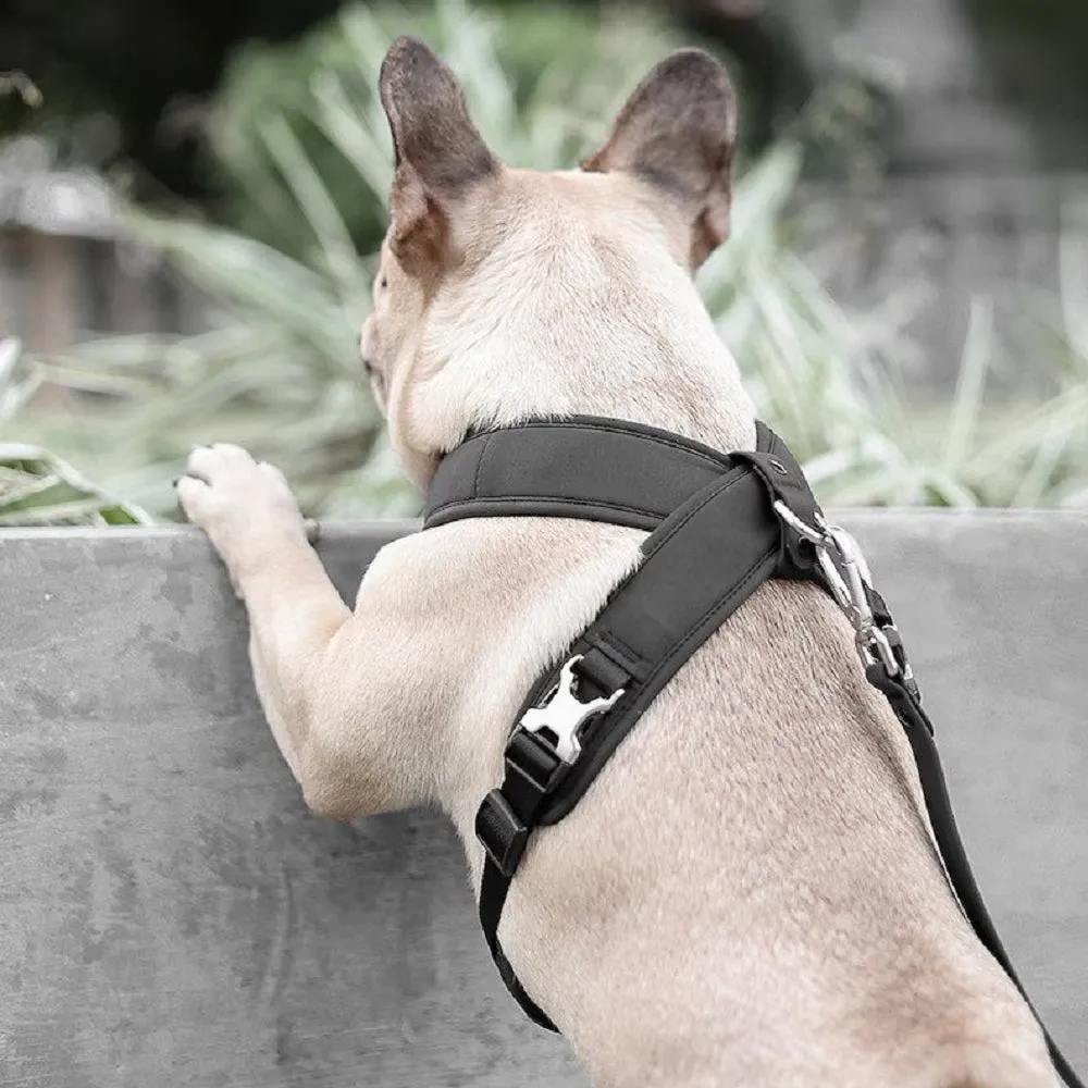 Pups & Bubs - Roam Harness